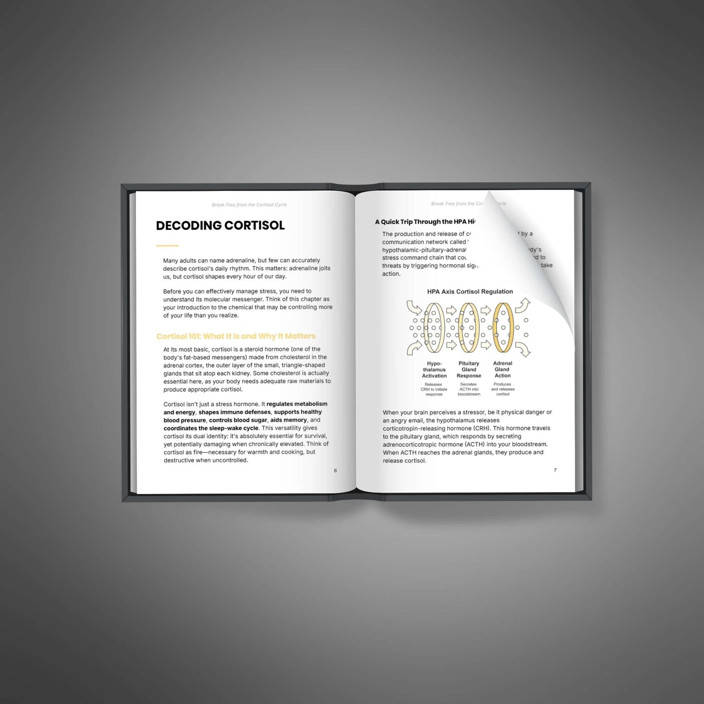 Break Free from the Cortisol Cycle (eBook en anglais) - Adexo