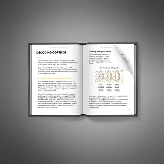 Break Free from the Cortisol Cycle (eBook en anglais) - Adexo