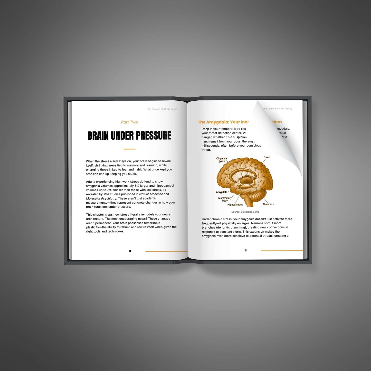 The Science of Stress Relief (eBook en anglais) - Adexo